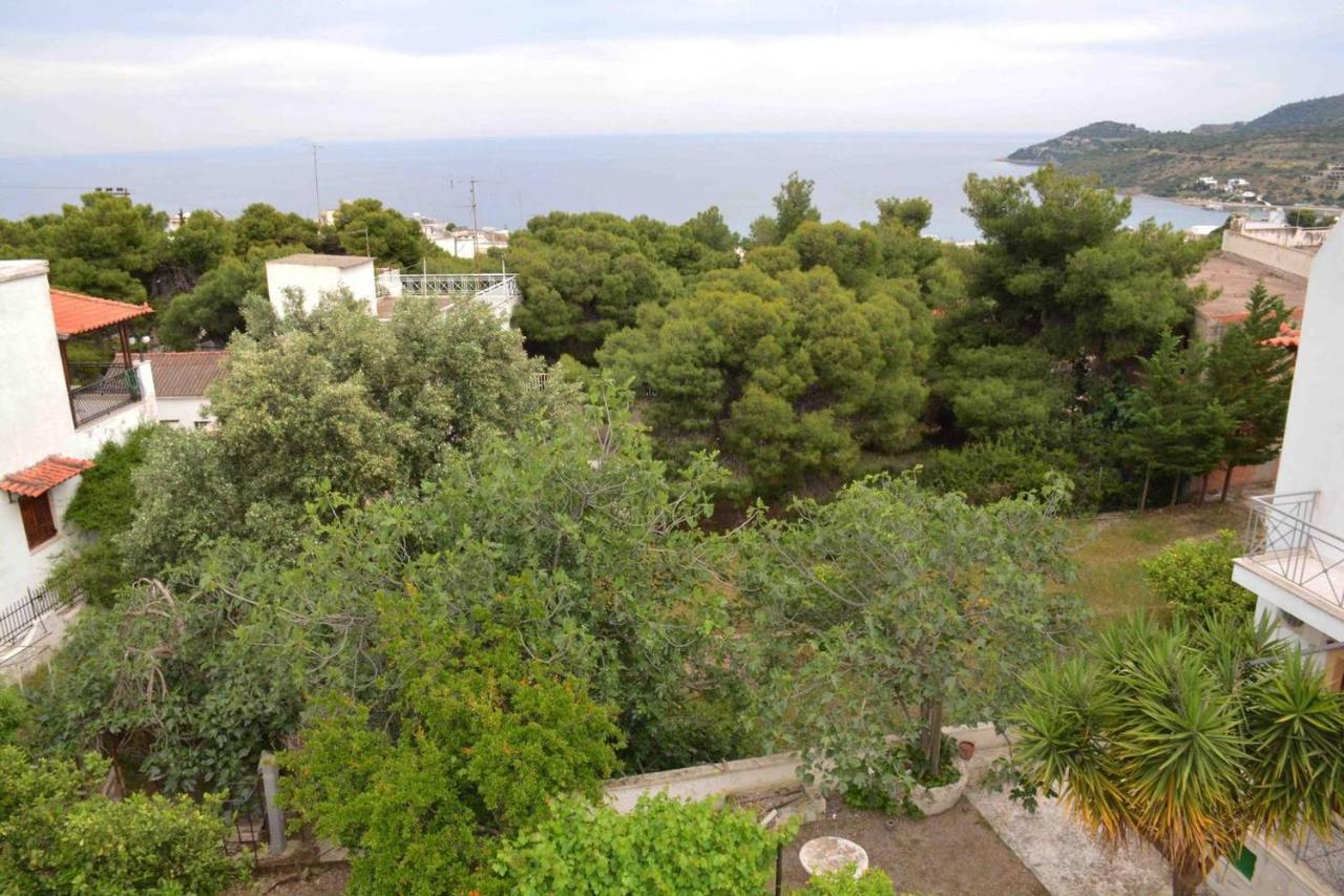 Aelia Houses Agia Marina  エクステリア 写真